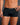 Microfiber Boxer Seamless Pack X3